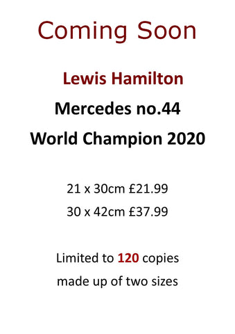 Lewis Hamilton - World Champion 2020 -  Ltd edition giclee print by Stephen Doig